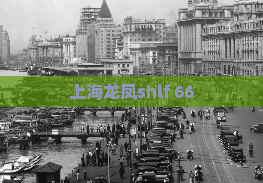 上海龙凤shlf 66